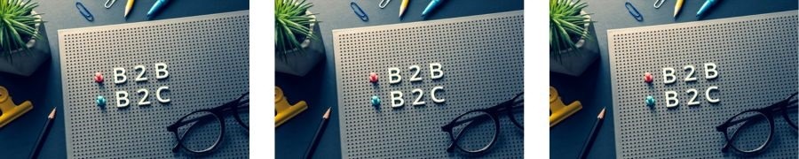 B2B_B2C_long B2B B2C