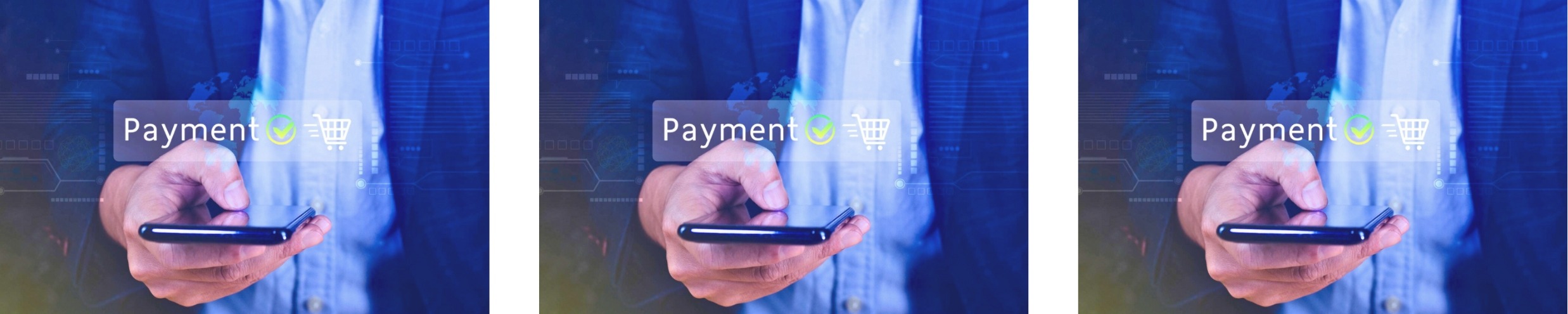Payment Service Provider PSP